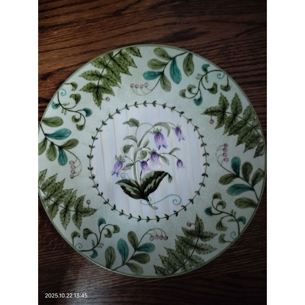 Fern‎ Mist Plate Suzanne Nicole Set 10in Decorative Plate Botanical Floral Decor